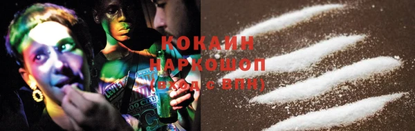 шишки Новозыбков